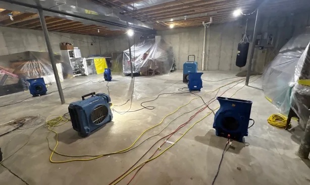 Basement Mold Cleanup in Staten Island, NY