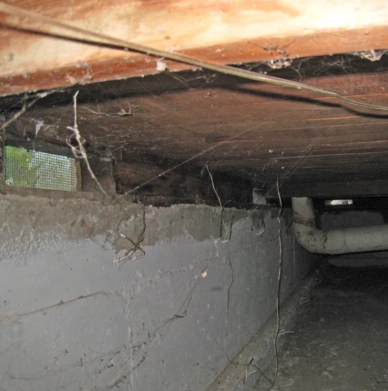 Crawl Space Water Damage Cleanup in Staten Island, NY