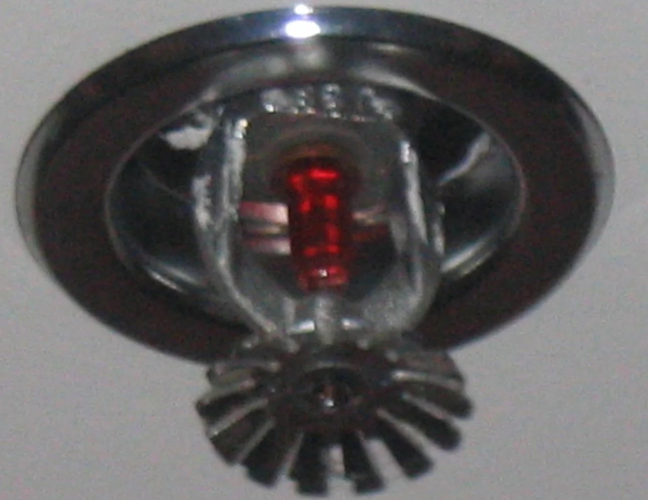 Sprinkler System Water Removal in Jackson, NJ